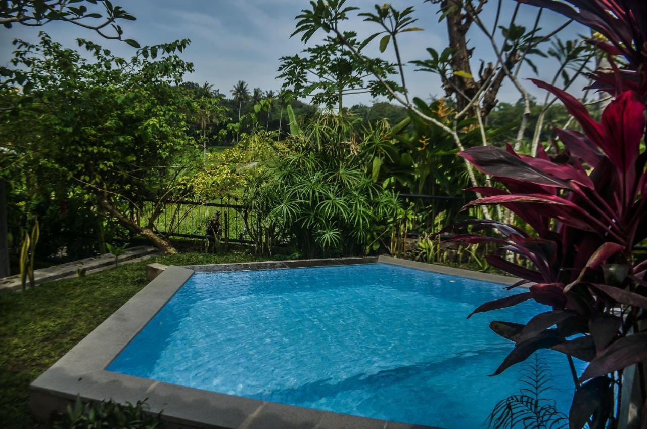 Villa Nextdoor Nature Bantul Buitenkant foto