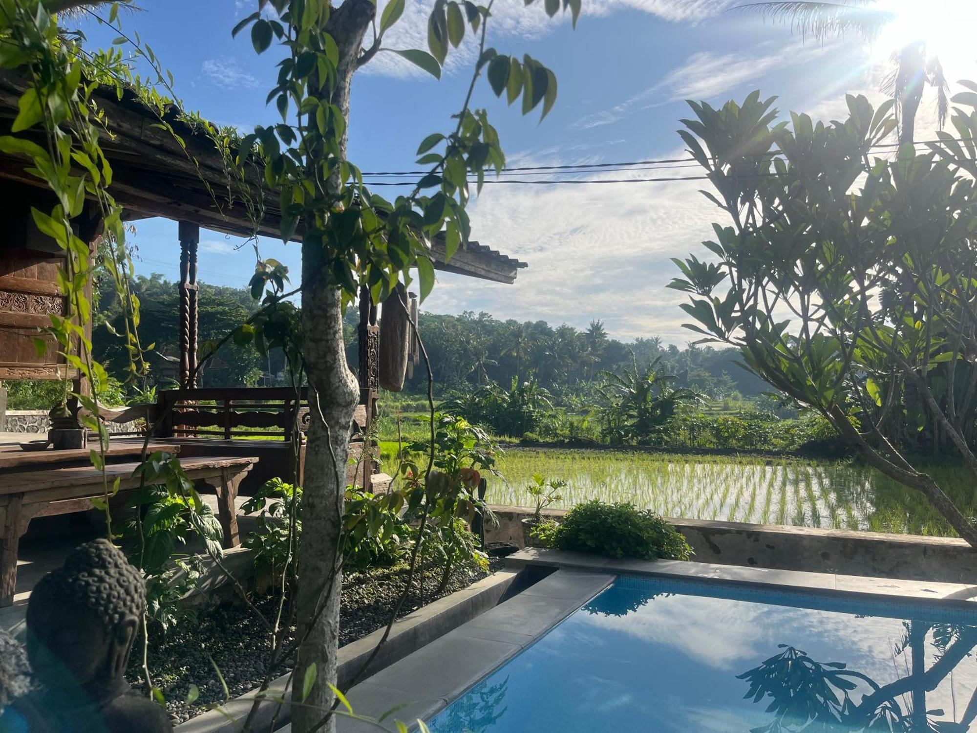 Villa Nextdoor Nature Bantul Buitenkant foto